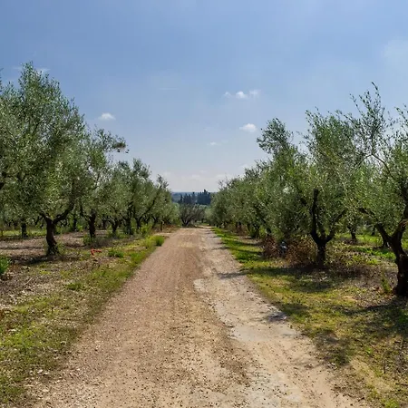 Casina Marchesino Дом отдыха Алецио