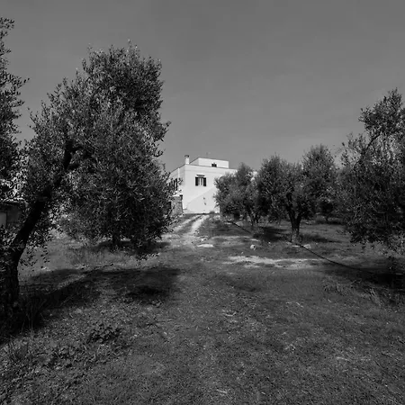 Casina Marchesino Алецио